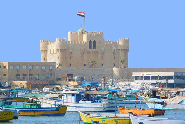 Alexandria Day Tour from Cairo