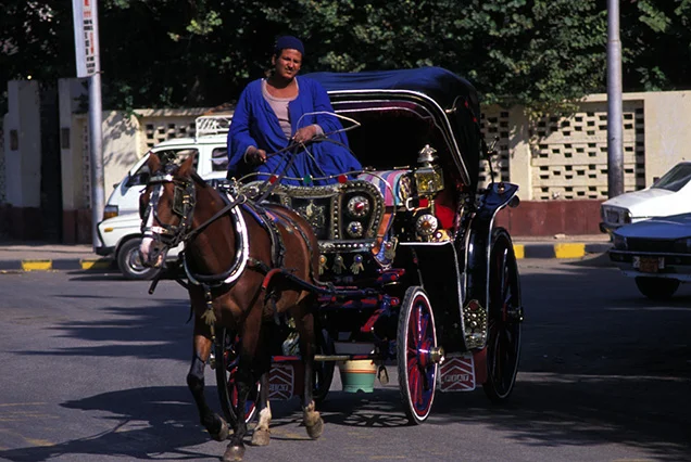 Aswan Horse Carriage Tour