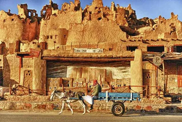 Best Egypt Oasis Tour