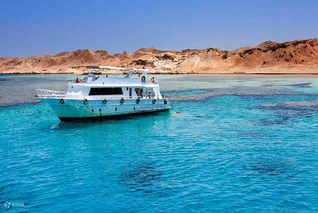 Best Tiran Island Snorkeling Trip