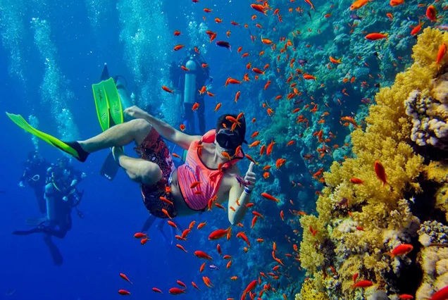 Diving Club Marsa Alam