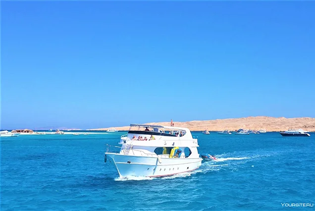 Giftun Island Snorkeling Tours