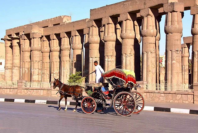 Horse Carriage Tour in Luxor City