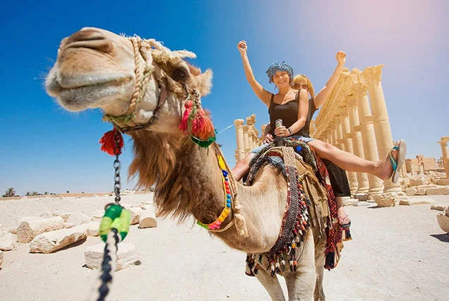Luxor Camel Ride Tour