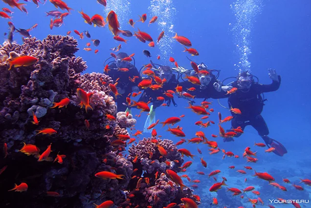 Port Ghalib Marsa Alam