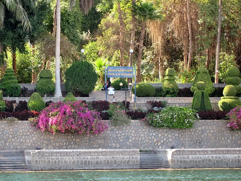The Botanical Gardens and Museum of Botany